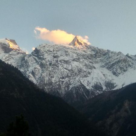 Wanderers Homestay -All Mountain Facing Rooms Kalpa Zewnętrze zdjęcie