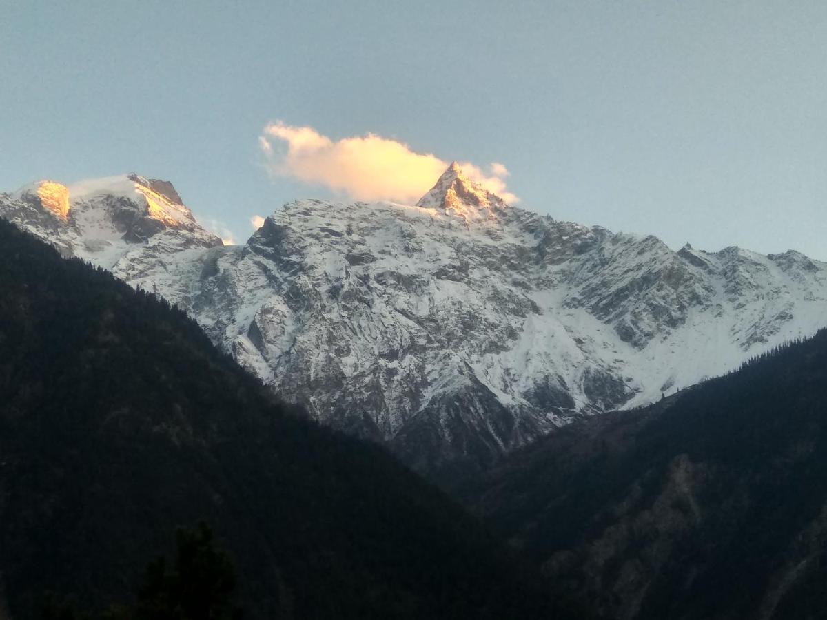 Wanderers Homestay -All Mountain Facing Rooms Kalpa Zewnętrze zdjęcie