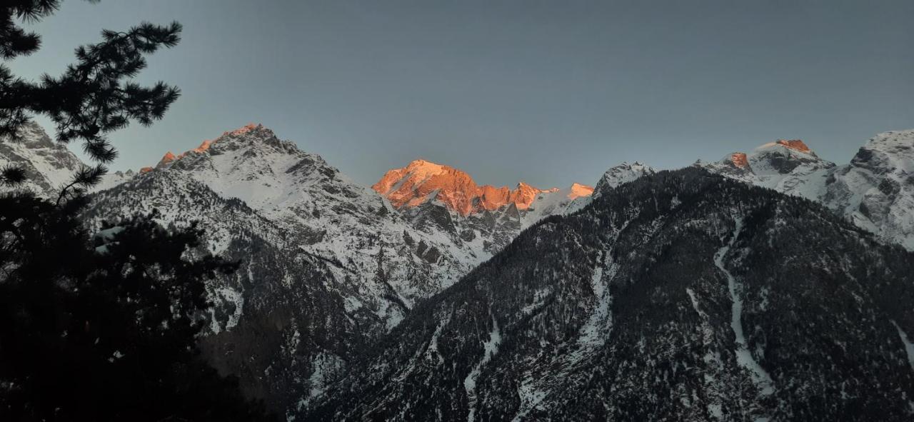 Wanderers Homestay -All Mountain Facing Rooms Kalpa Zewnętrze zdjęcie