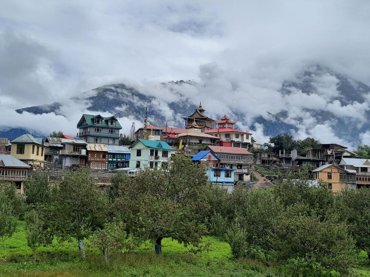 Wanderers Homestay -All Mountain Facing Rooms Kalpa Zewnętrze zdjęcie