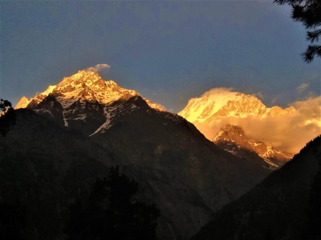 Wanderers Homestay -All Mountain Facing Rooms Kalpa Zewnętrze zdjęcie